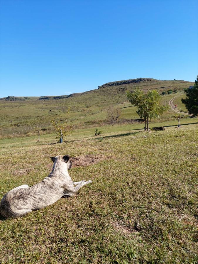 Cabanas Vista Verde Tacuarembó 外观 照片